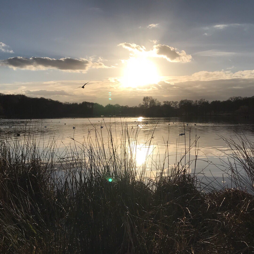 chrisrneill1's tweet photo. 25k steps and some great sights from the capital #NoFilter #weekend #25kSteps #RichmondPark #CanaryWharf https://t.co/p7zFS97ye5