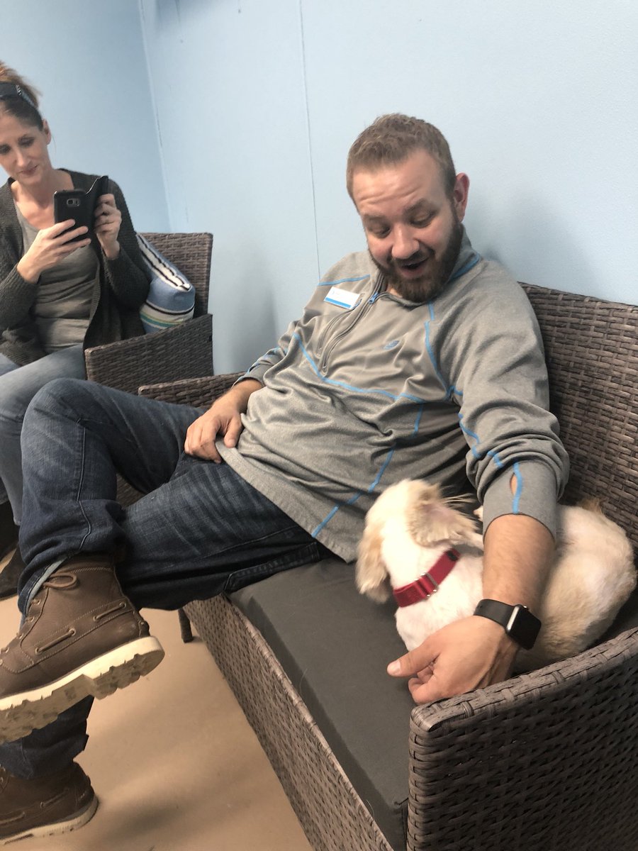 Matt Kline tweet media