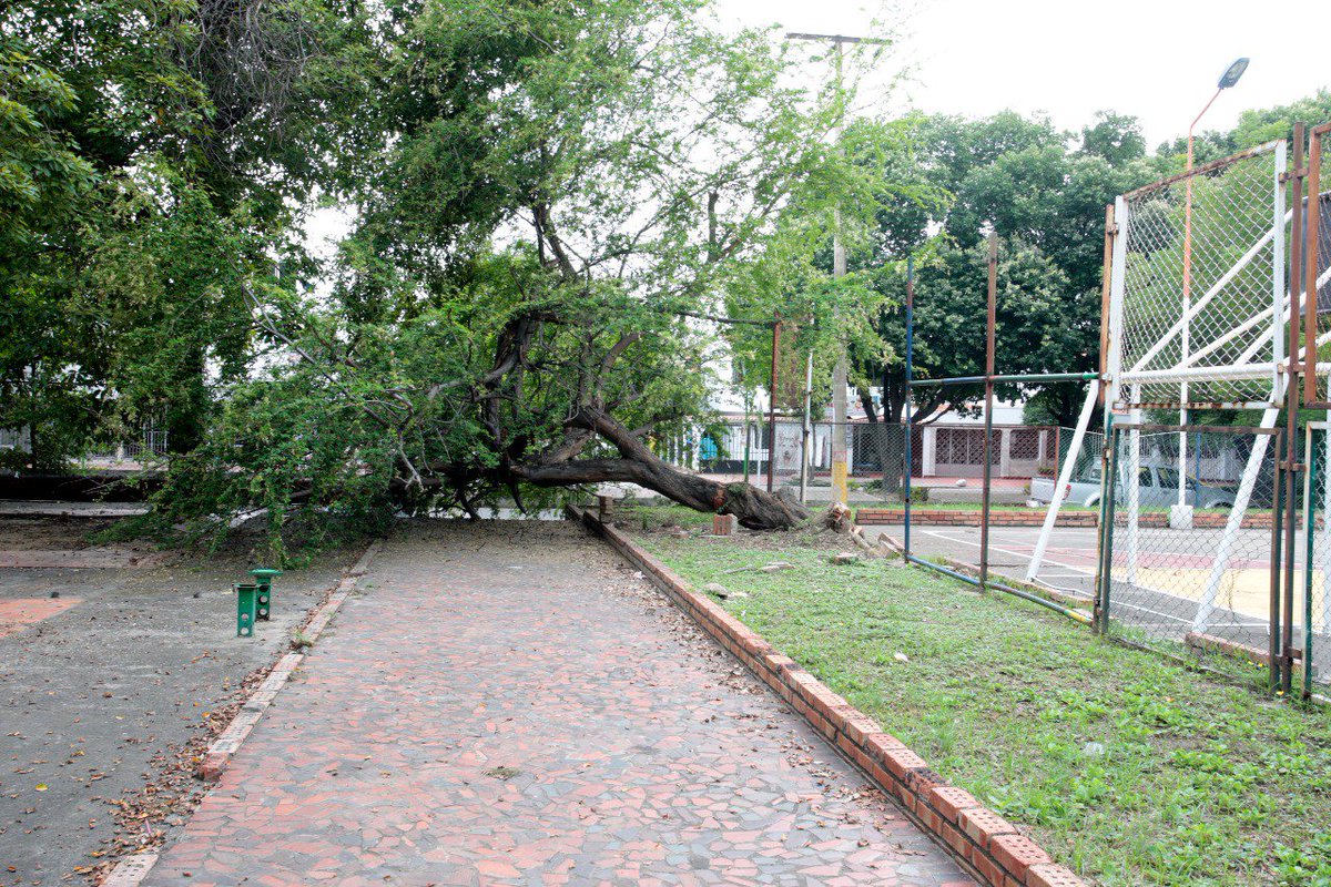 QhuboCucuta's tweet photo. ¡SUMIDA EN EL ABANDONO!

Totalmente abandonada luce la cancha de microfútbol de Ceiba II. 

Lea la nota completa en nuestra edición de mañana domingo 18 de febrero de 2018.

#QhuboLeInforma #Noticias #Cúcuta #CeibaII https://t.co/GMLnjjrCxv