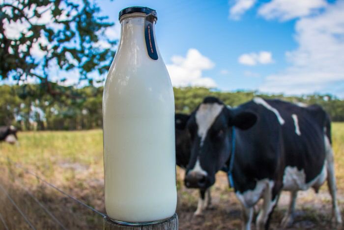 Glass milk bottles make a comeback abc.net.au/news/2018-02-1…