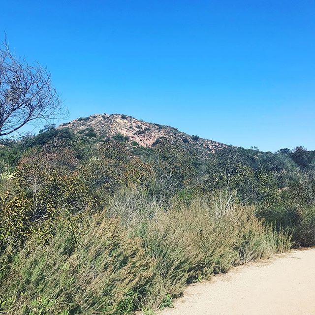 BirdandIvy's tweet photo. What do you pack for a day hike? How about a day hike with kids? #snacks #kids #socalhikes https://t.co/zAw7gFe5Hc https://t.co/kwSmK49oNL