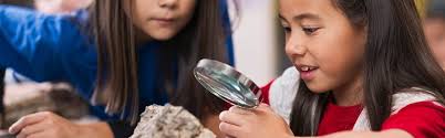 Roots2STEM's tweet photo. #Roots2STEM will be at #ESfS_canada for the Earth Science for Society exhibition March 18-20. Get your school signed up and come see the excitement. Image result for esfs canada https://t.co/iYL6zeKp5D