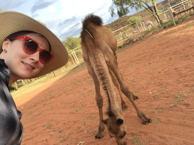 I rode a camel! https://t.co/LCdHIX9ufH<a href="/tag/trumpkin"class="tags"><span>#trumpkin</span></a>