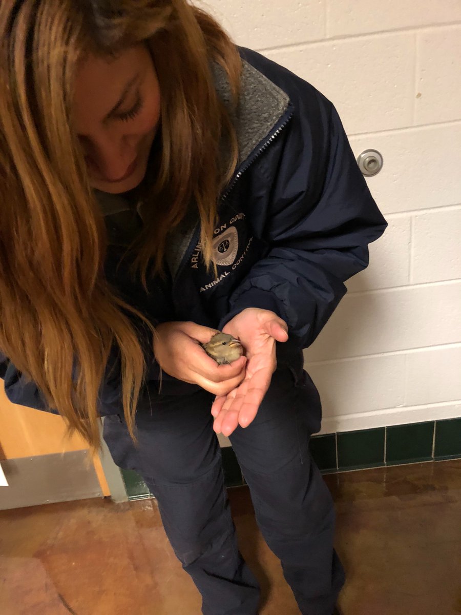 Just another day in the science dept at Langston! <a href="/LangstonHS_APS/">Langston High School</a>