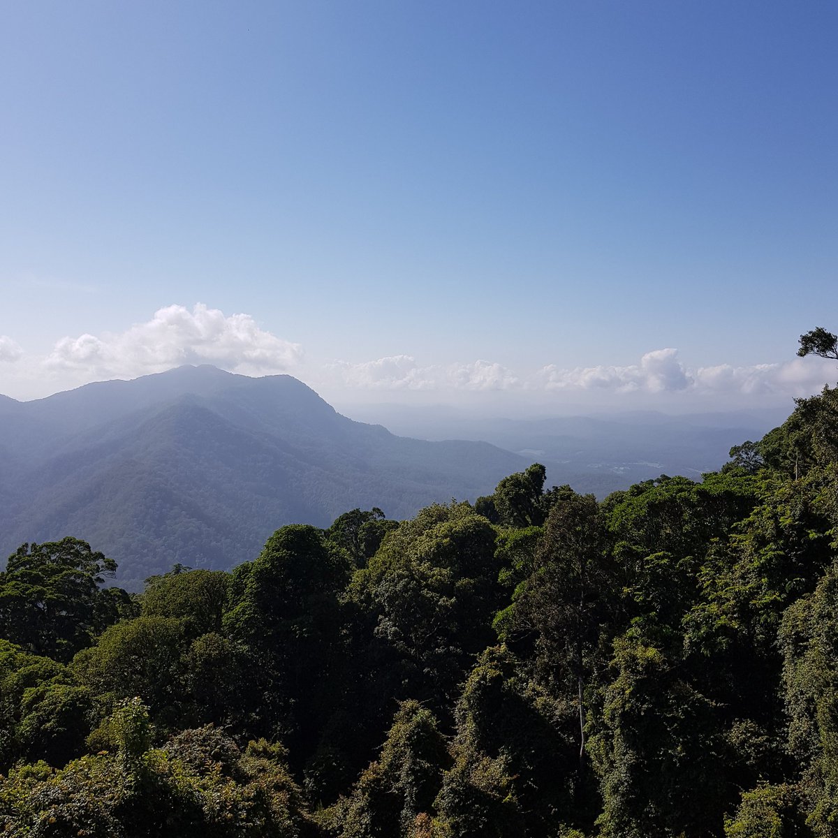 Debbie Locke tweet media