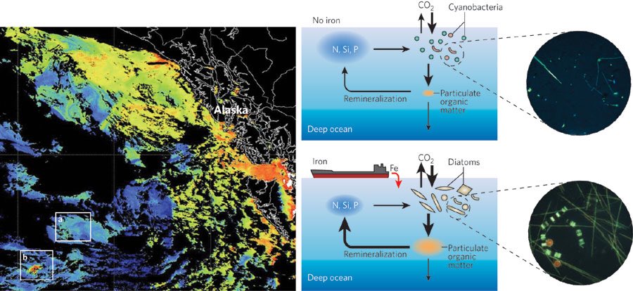 PaulHBeckwith's tweet photo. Visualize a #climate like the one your grandparents grew up with for your kids and grandkids. Imagine an #ocean teeming with life. 

Ocean Fertilization is a key part of our toolbox for restoring climate stability.

https://t.co/rZMY7o0Evf

#climate #climatechange #globalwarming https://t.co/ncSgOPTTu7