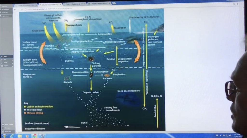 PaulHBeckwith's tweet photo. Visualize a #climate like the one your grandparents grew up with for your kids and grandkids. Imagine an #ocean teeming with life. 

Ocean Fertilization is a key part of our toolbox for restoring climate stability.

https://t.co/rZMY7o0Evf

#climate #climatechange #globalwarming https://t.co/ncSgOPTTu7