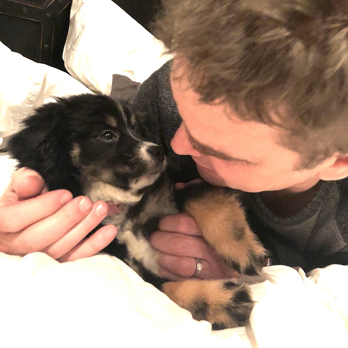 StaciaRR's tweet photo. Welcome to the family sweet Phoebe! 

#BirthdayGift 
#HouseOfDogs 
#LolaHasASister 💕
#DogLovers 
#SecondGenerationPomsky https://t.co/kfeD9KZwRC