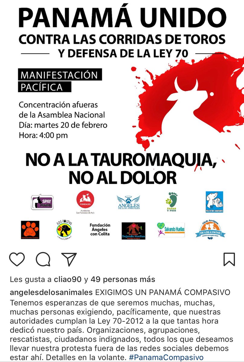 AngelesdelosAnimales tweet media