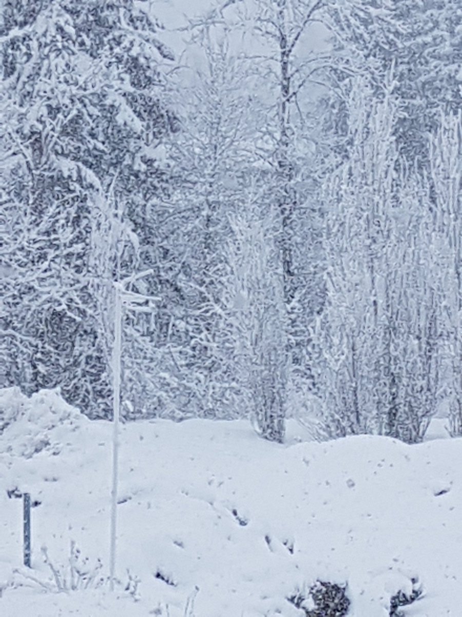 Pemberton Gateway Residences tweet media