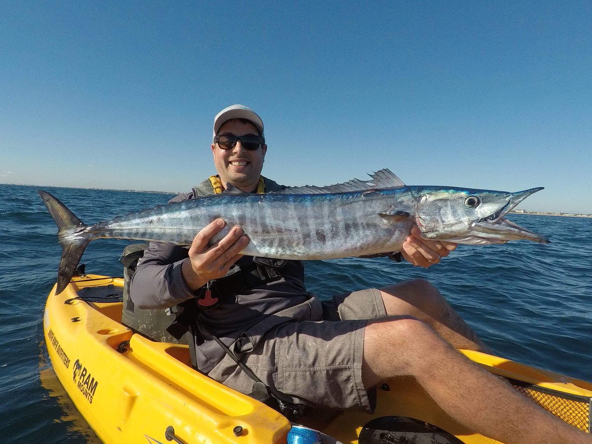 PushinWaterFish tweet picture