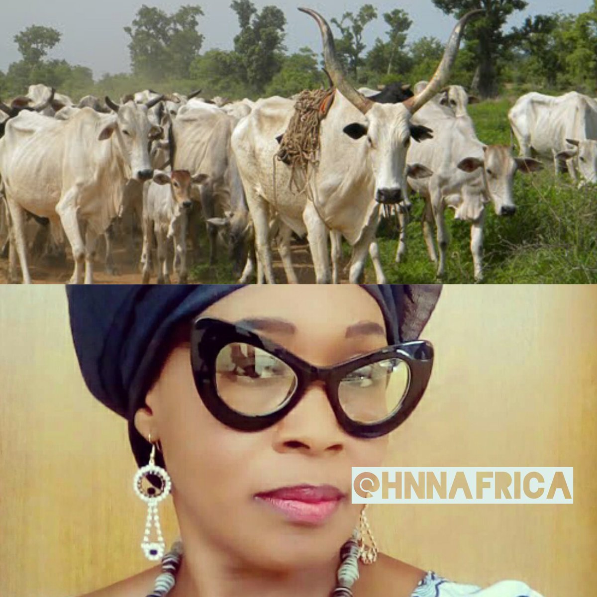 drkemiofnigeria's tweet photo. S/O to every cattle herdsman in #Nigeria. I ONLY eat BEEF! We own this country together! Anti-Grazing laws are ILLEGAL PERIOD! Stop attacking #Fulanis unless you are vegetarian like the COWS🐄🇳🇬👍. More power to the #BossCow in front and the #KidCow risking it's life #hnnact🏽 https://t.co/XRSrdYyrfu