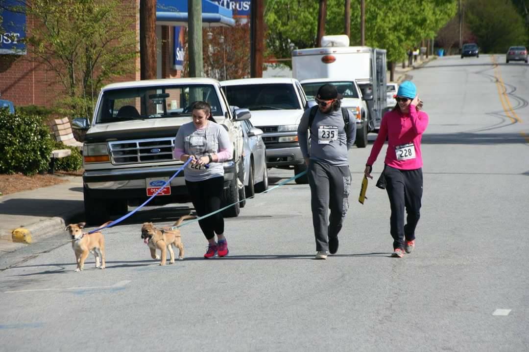 pink5krun's tweet photo. Harrison Park 5k Run&amp;Walk for Pink Cares Piedmont April 21st 2018 @ 9 AM. Having Run with your Dog. Awards for Runners &amp; dogs. Come join the fun. Cost is $20 w T-shirt.Cost day of run $25. Door prizes for you &amp; your pet. Call for info 336-859-4269. @fergpercon @jillebeane https://t.co/2BU0lBoCcw