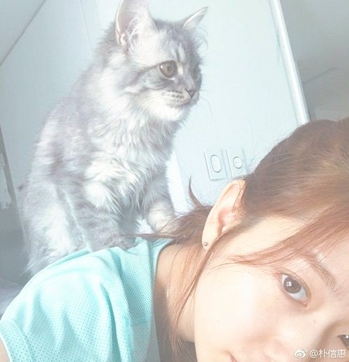 jiwonya1031's tweet photo. ♥

.

   　　　シネちゃん

　　センイルチュカヘ💍💍

     お顔やスタイルだけじゃなく
　人柄が良くて優しくて
　演技に対してストイックで

　そんなシネちゃんとシネちゃんが
　一生懸命作り上げたドラマが
　大好きです✨✨

.

♥
#パクシネ #박신혜 #ParkShinHye #HappyParkShinHyeDay https://t.co/uBTk3zEtyE