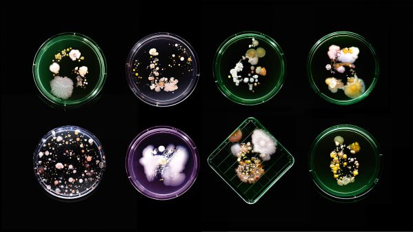 RevistaPICNIC's tweet photo. #SubvisualSubway proyecto por #CraigWard presenta la belleza del ecosistema microbiano del metro en la Ciudad de Nueva York.
https://t.co/SKpaqqCZRN https://t.co/xYz5Ou5EVh