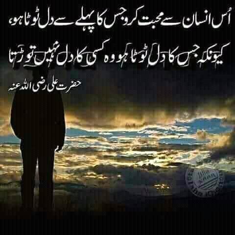 alihaider tweet media