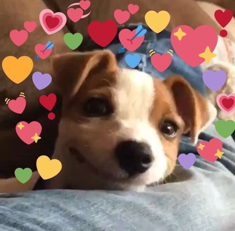 rosscheIs's tweet image. 