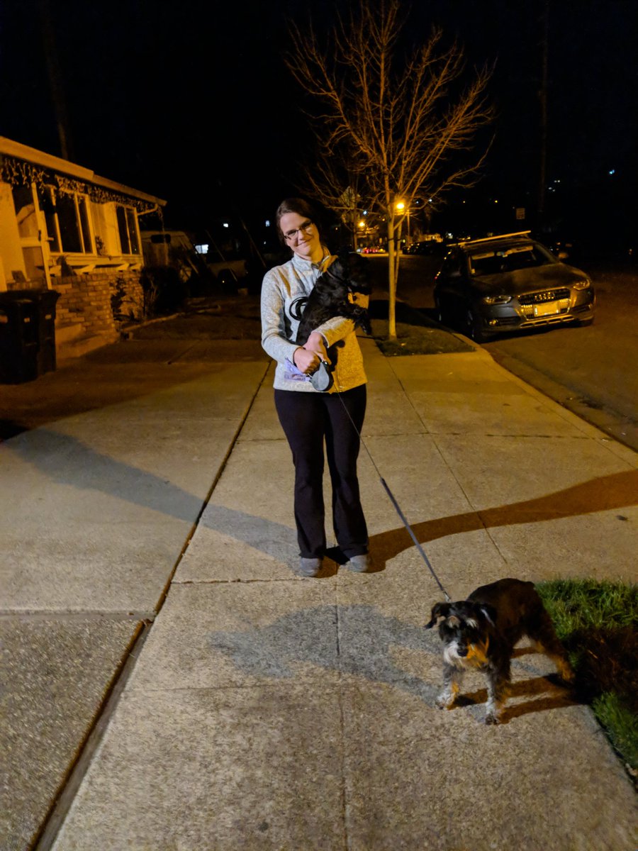 thebearded_lady's tweet photo. I was promised I wouldn't have to walk! This all your fault @CaliSchnauzin. #poopedinthefirst10feet #walkingcuddlesarenotcuddles #justpoopsowecangohome #noleash #nowalk #π©π©π© #nowimcold https://t.co/uWbooe3MP4