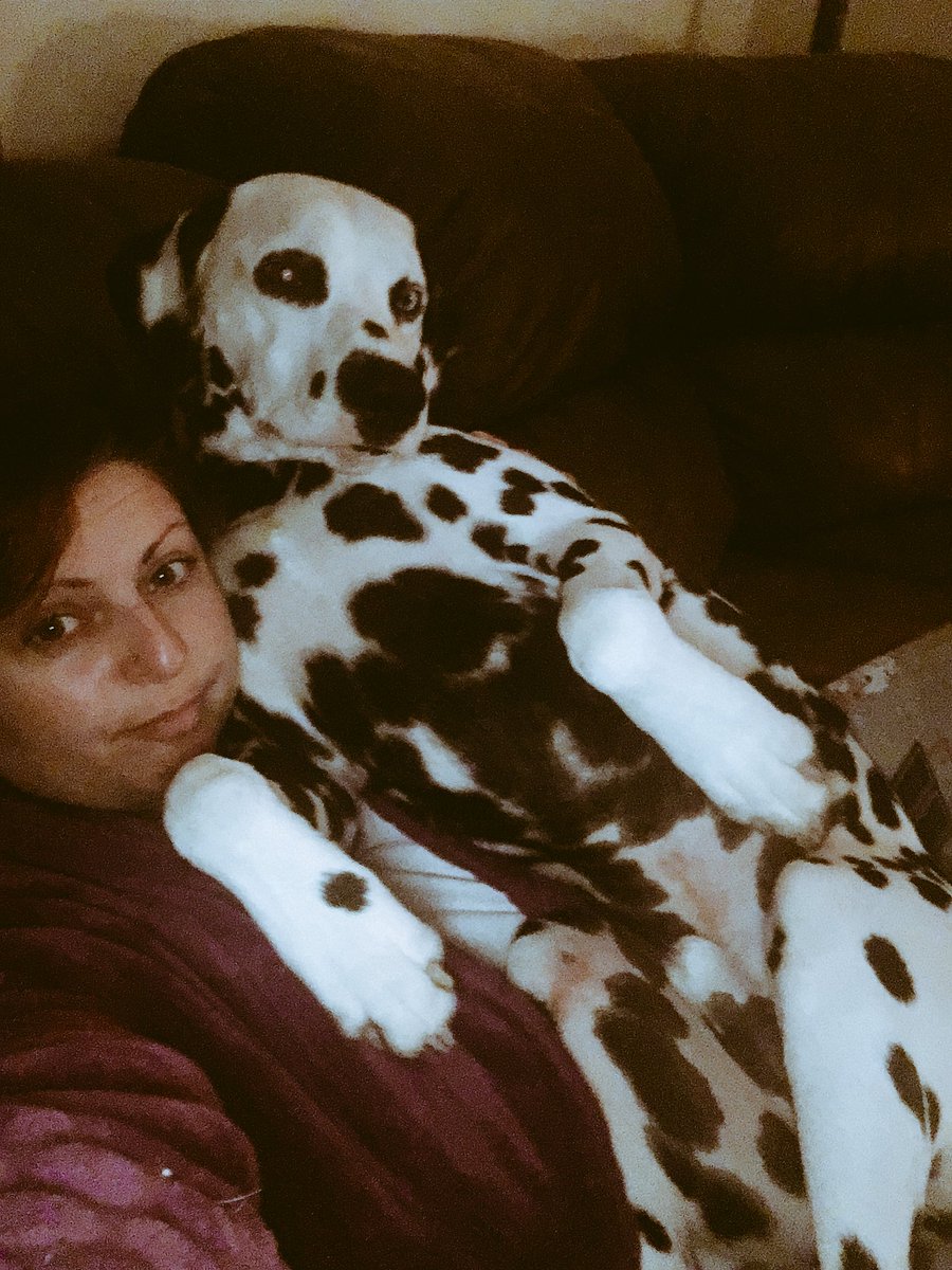 belviso134's tweet photo. #mydalmatianthinkshesalapdog #dalmatianpuppy #ilovemydog https://t.co/LwiK9zmBUC