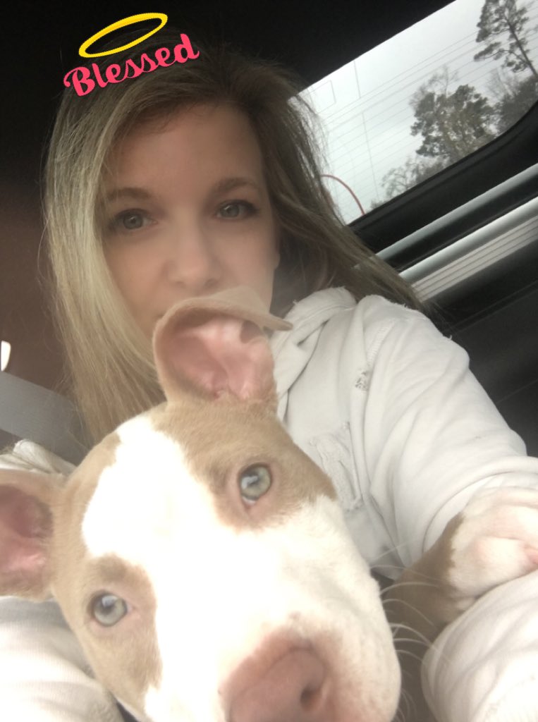 lil_sis_nett's tweet photo. @DLoesch ๐๐ถ #MansBestFriend ๐ถ๐
๐๐ถ #CheyenneHOPE ๐ถ๐ https://t.co/UPbO4reV1k