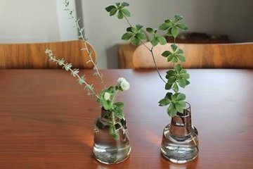 贅沢品 アウトレット 訳あり ホルムガード プリムラ オーバルベース 12 5cm アンバー Holmegaard Primula Vase 花瓶 マウスブロウ 手吹き フラワーベース 豪奢な Css Edu Om