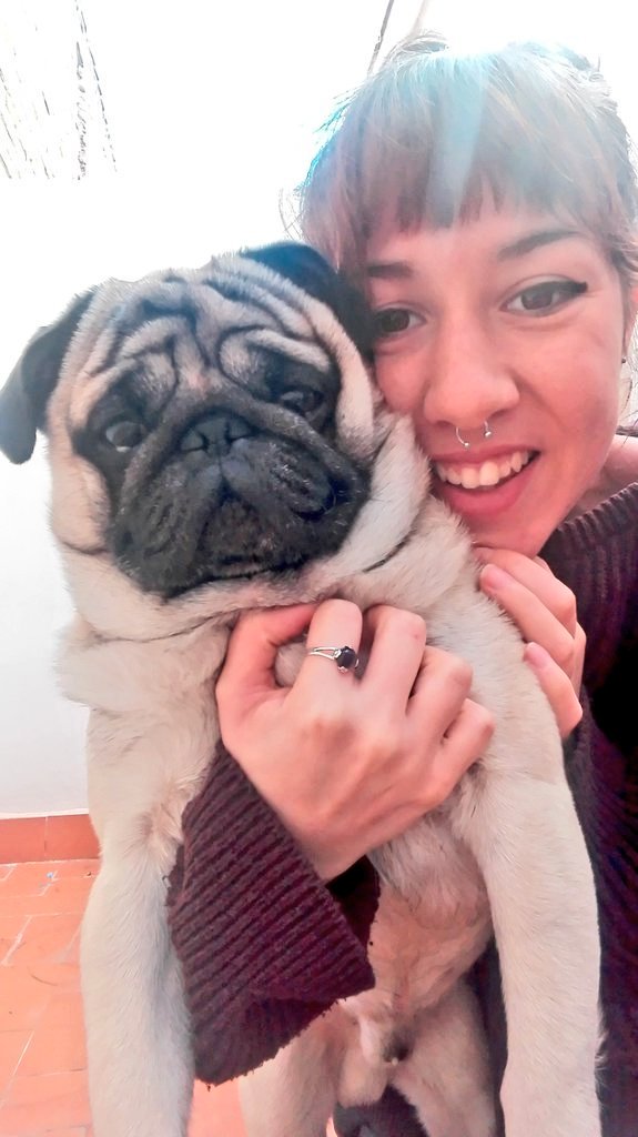 nnleo12's tweet photo. #pug #puglove #puglovers #pugfriends #pugphoto #pugstyle #pugsupermodel #pugforlife https://t.co/ks0QUnvwnx