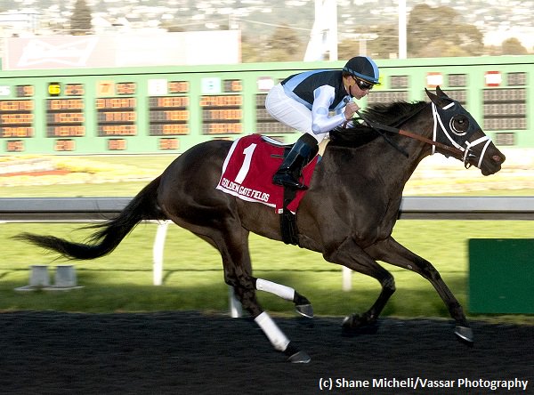 Brisnet's tweet photo. .@DraydenV on #ElCaminoRealDerby heroine #Paved: "She's just a @Cadillac. I think there is more left in there, too."
https://t.co/XbrYDn8mlN https://t.co/sAHeWXKc7V