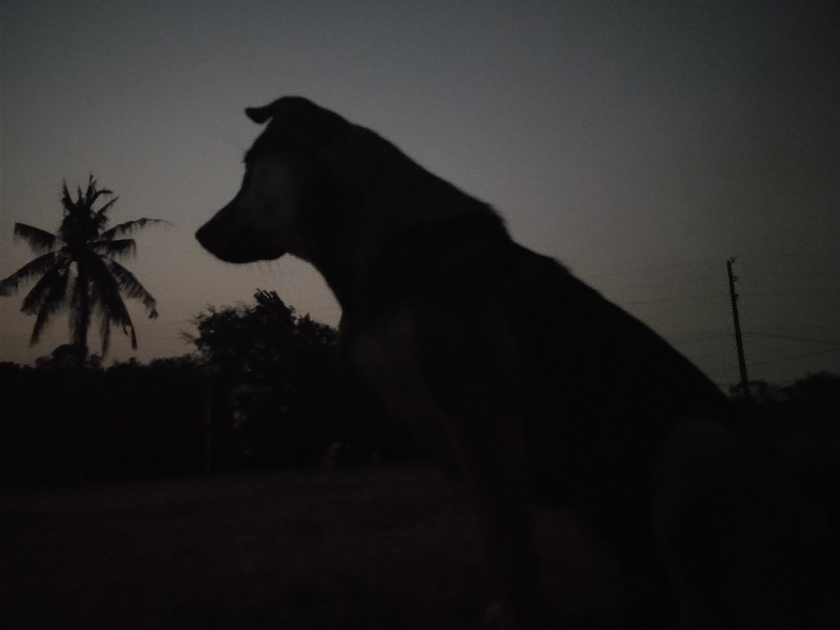 chhengven tweet picture
