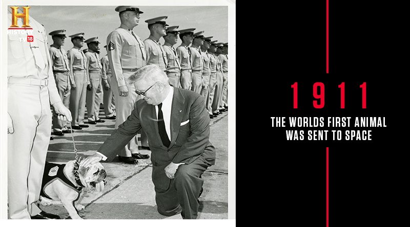 HISTORY TV18 on Twitter: HISTORY TV18 on Twitter: