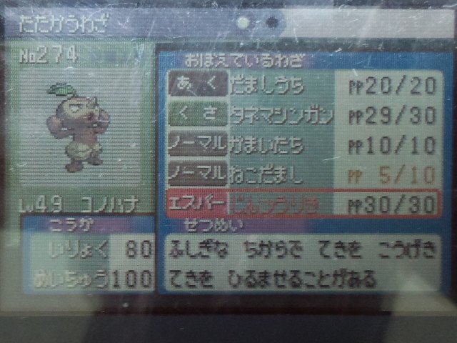 Dゆうまd Sur Twitter ポケモンエメラルドやってます コノハナを強くして じんつうりき を覚えさせました 明日になったらプラチナに送ってダーテングに進化させます ポケモン ポケモンエメラルド ポケモン好きさんと繋がりたい