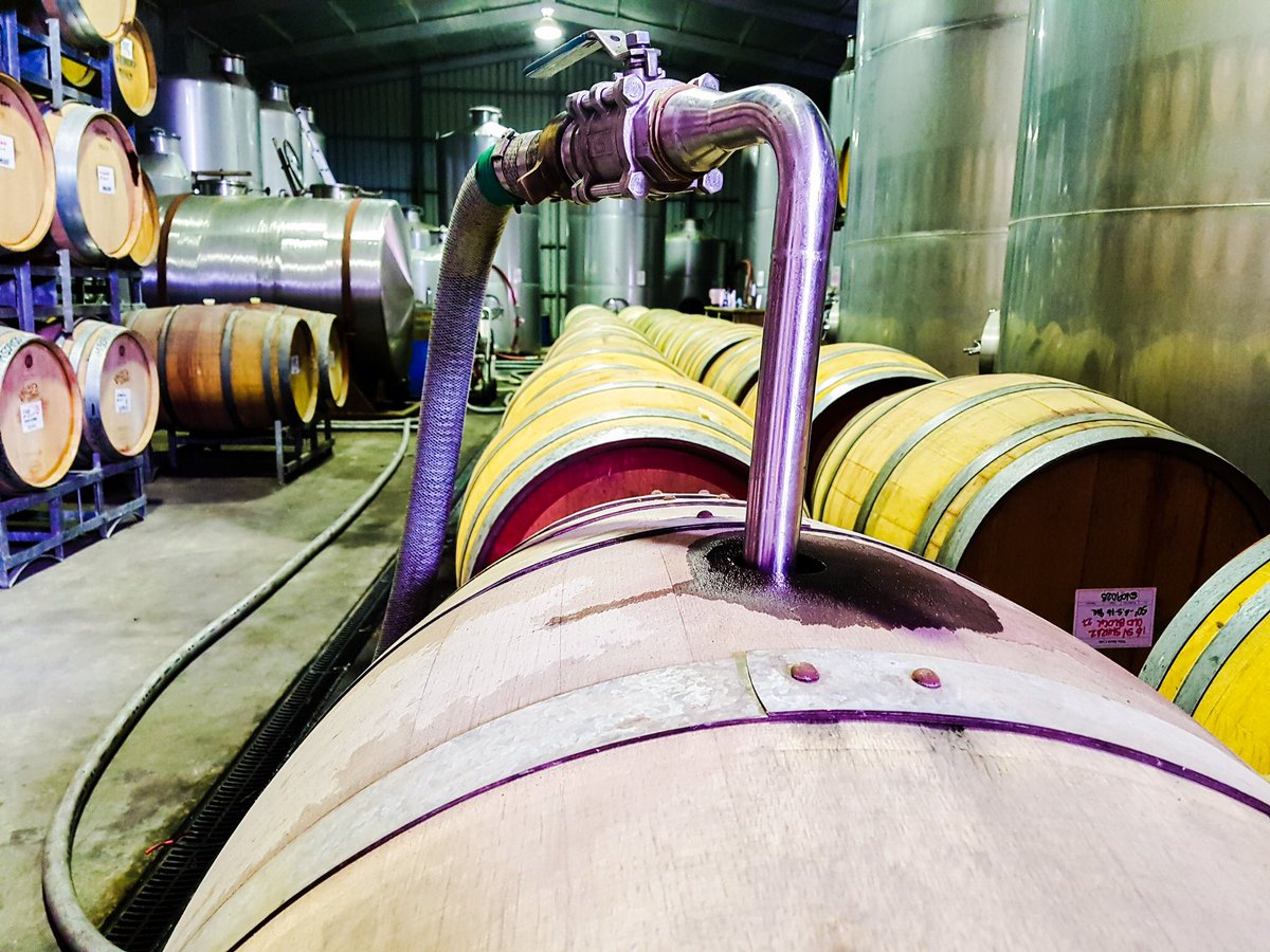 Sabella Vineyards tweet media