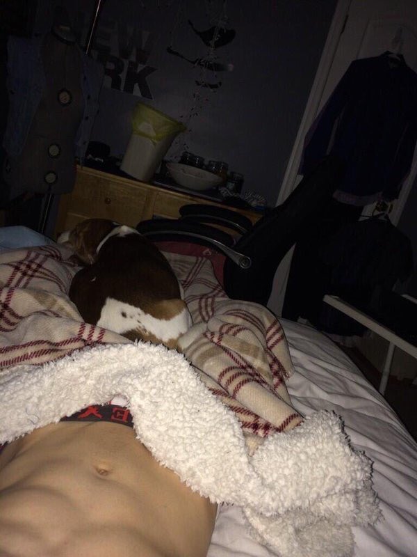 distrxst's tweet photo. 💤 https://t.co/sTWrveFGec