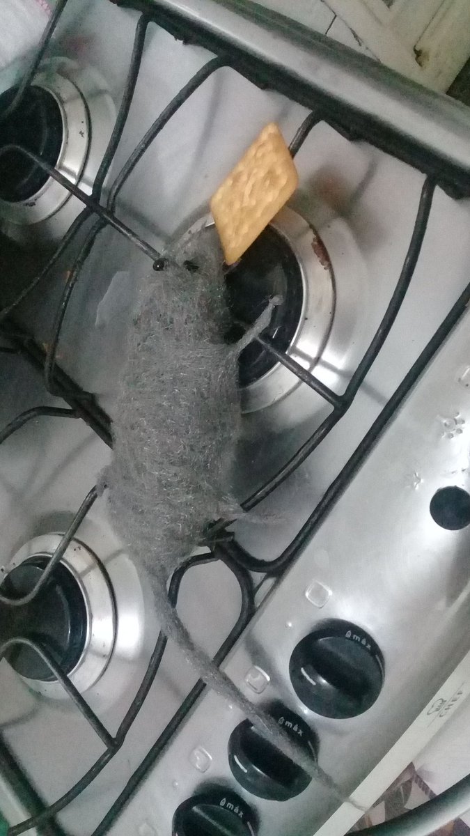 fabriciogui09's tweet photo. Essa noite eu mato um de susto aqui em casa, fiz um rato de bombril e coloquei em cima do fogão com um biscoito na boca kkkk https://t.co/q7i8QS0Vqw