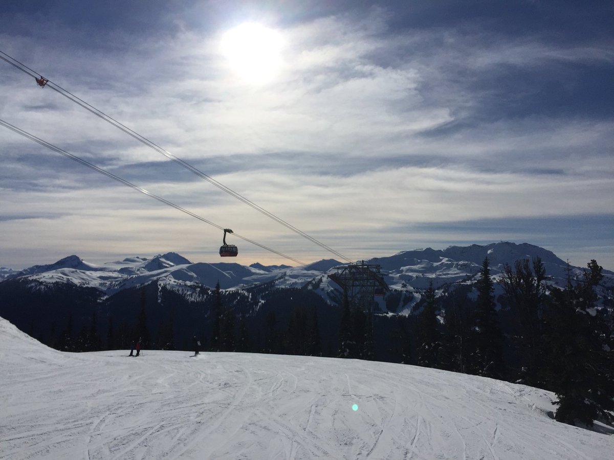 Bluebird