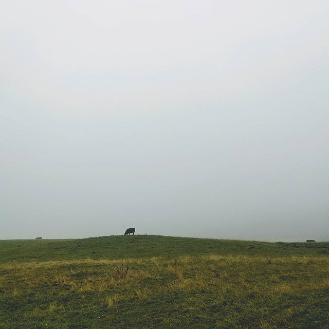 Humboldt fog. ift.tt/2ELvUwJ