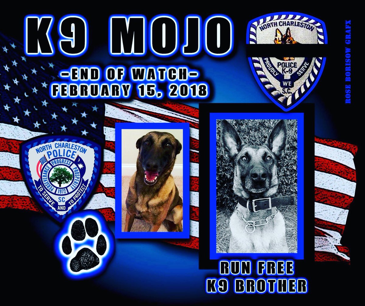 protectingblue's tweet photo. RIP. K9 Mojo was killed in a vehicle crash when his handlerโs patrol car was struck by a suspected DUI driver. #K9Mojo #NorthCharleston #ThinBlueLine https://t.co/YKdhbDj3D6