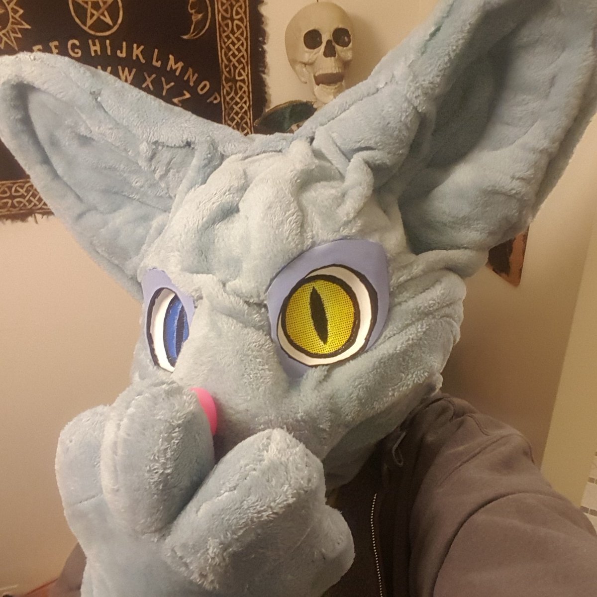 Hairless Cat Fursuit Best Cat Wallpaper