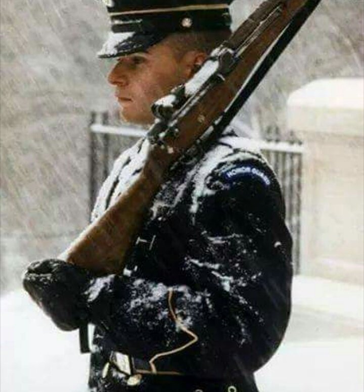 SupportiVets1's tweet photo. *** THIS IS WHAT LOYAL LOOKS LIKE ***
#ptsd #america #soldier #usa #army #navy #marines #airforce #coastguard #honor #sacrifice #hooah #acode #brothers #militaryworkingdogs #navyseals #veteranstrong #fightingforwhattheybelievein #thankyou! #SupportiVets💛 https://t.co/ANGULZf41b