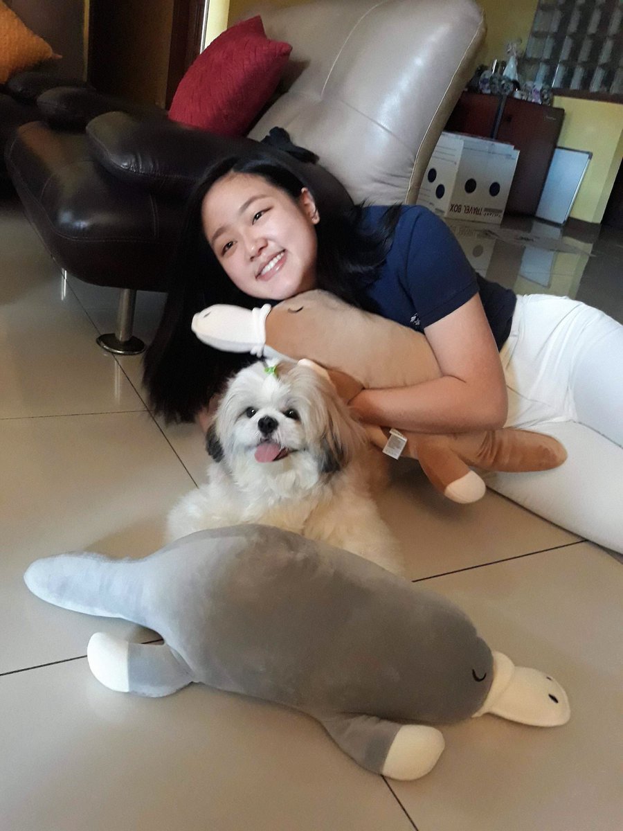 dyannnyu's tweet photo. Happiest 3rd Birthday to the love of my life!!!!! You are my world, Coops 🐶🤗❤️ https://t.co/RrMlM9SWy2