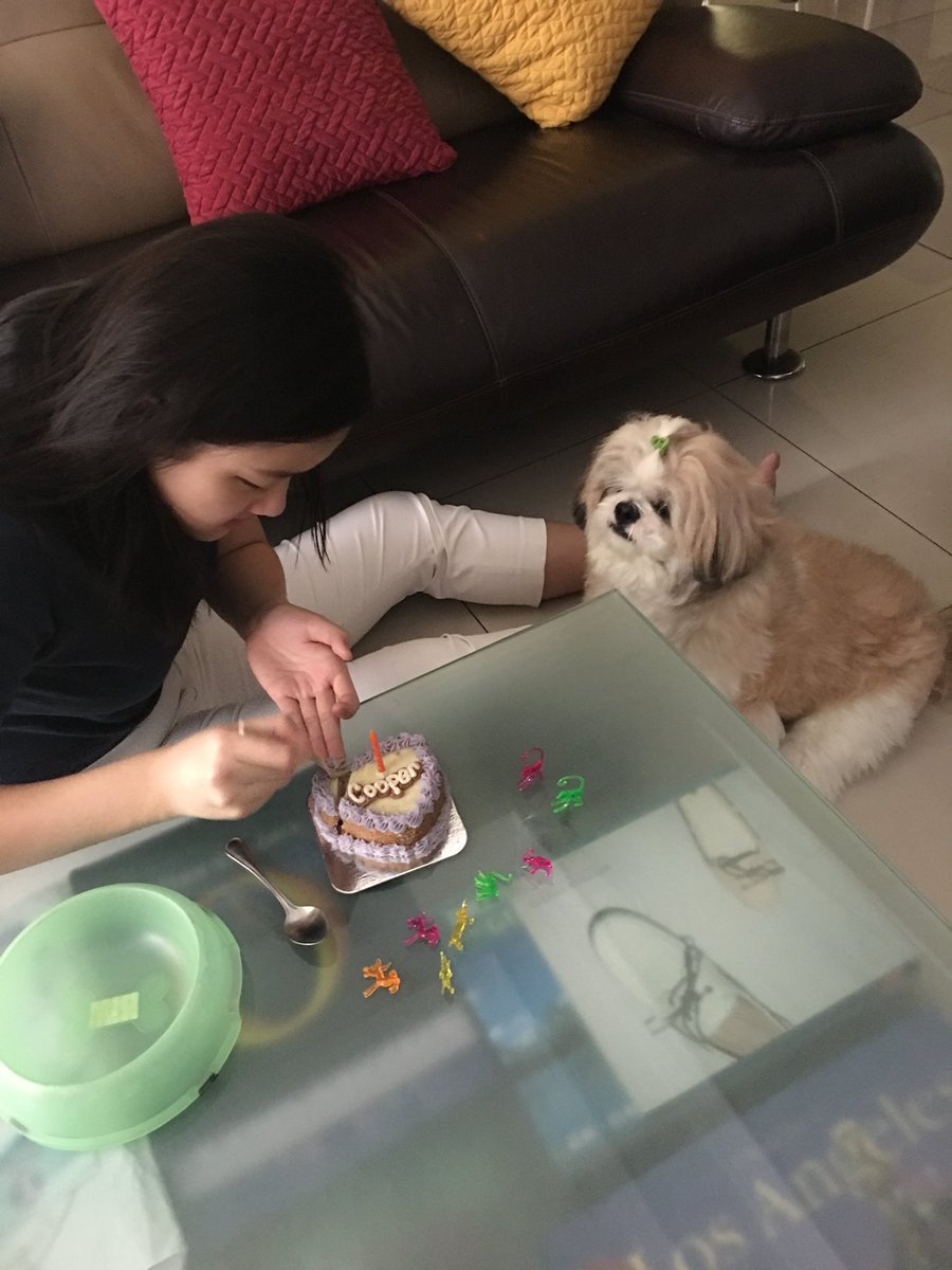 dyannnyu's tweet photo. Happiest 3rd Birthday to the love of my life!!!!! You are my world, Coops 🐶🤗❤️ https://t.co/RrMlM9SWy2