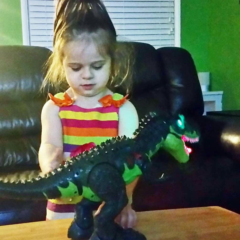 nurse_shannan's tweet photo. We recommend this innovative toy Dinasour available on #amazon at https://t.co/P395CiMYFu
#ciftoys #Tyrannosaurus
#sponsored #dinasour
#kidstoys #kidsofinstagram #happymommy #mommylife #happymom #happymomma, #mommyblogger #momblogs #mommyhood , #toysagram https://t.co/oUL5S30RN3