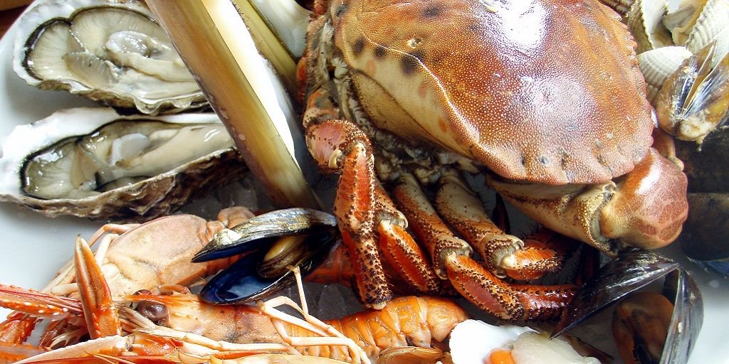 Here are our 22 reasons you MUST visit #Scotland in 2018  bit.ly/InScot22 #LoveScotland