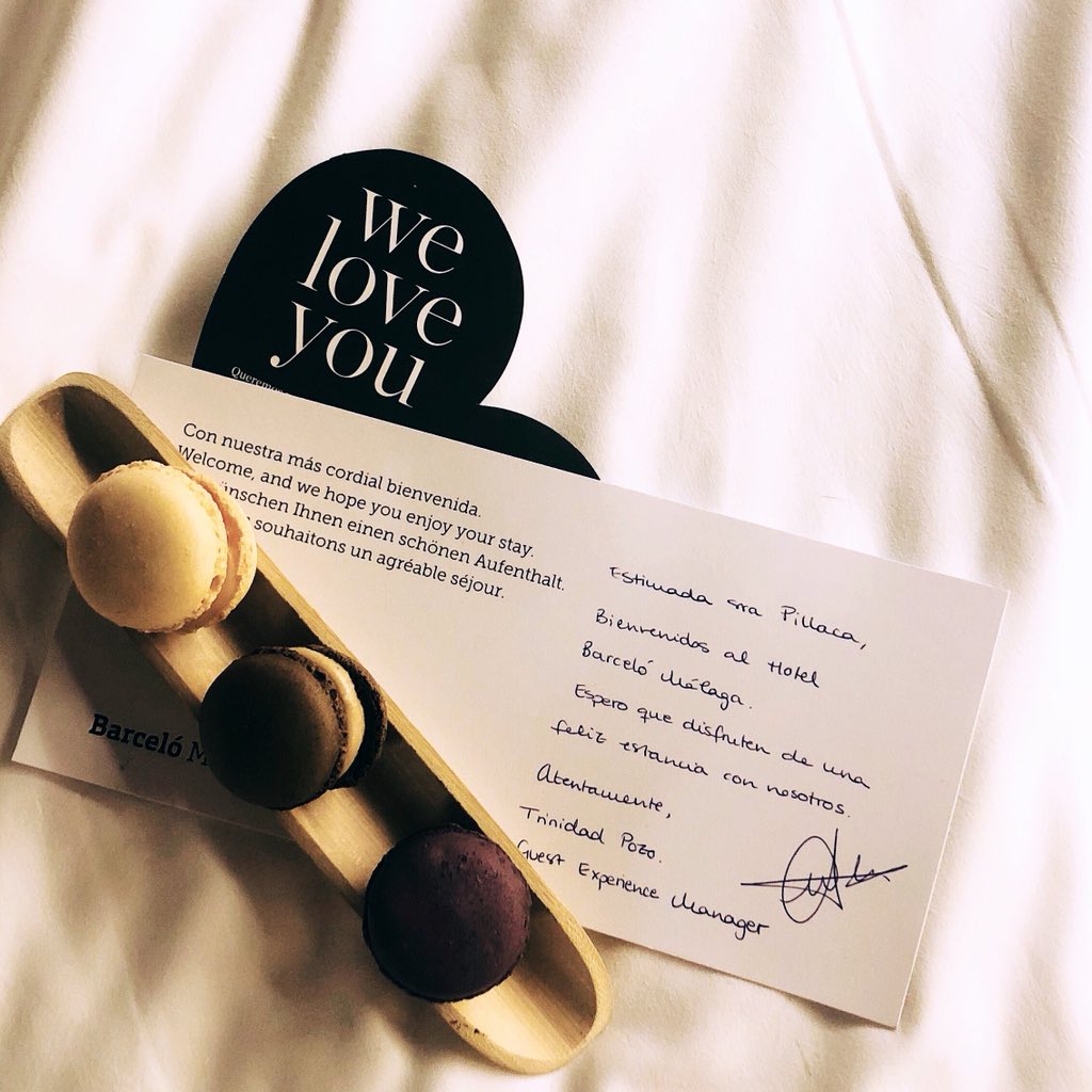 wendypillaca1's tweet image. Cuando comes y duermes bien, ¡se nota! y en Barceló Málaga todo eso es posible ❤️
¿Os apetece mi desayuno? Hoy rompí la dieta 🙈

Gracias equipo #BM por todas las atenciones. Nos vemos pronto 🏖

#BarcelóMalagá #BeBarceló #BarcelóExperience #BLikeAt