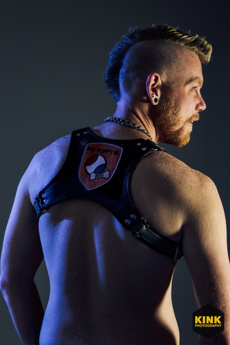 There is @Pup_Bentley again 🐶