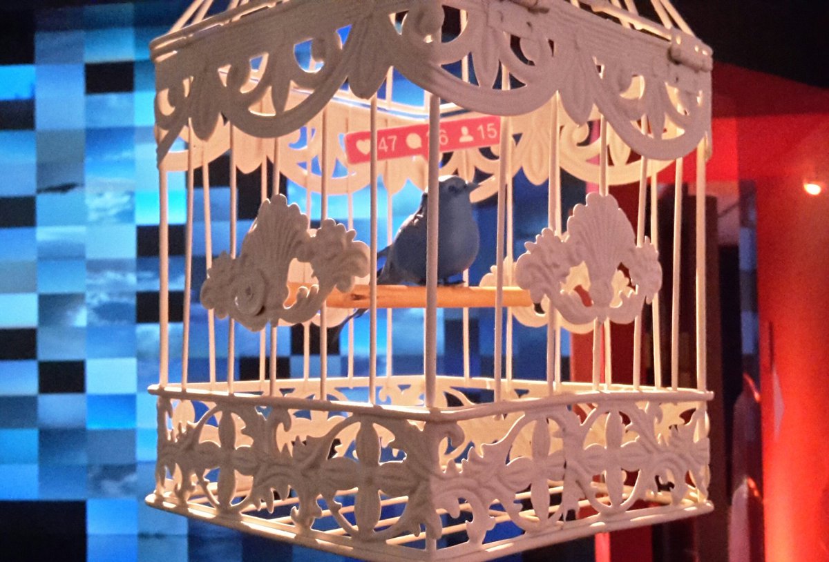 xavierg_'s tweet photo. Tweeter cette photo c'est un peu redonner sa liberté au petit oiseau bleu ? Super expo #LaBelleVieNumerique de la @Fondation_EDF cc @TwitterFrance https://t.co/mkIGmiTZmj