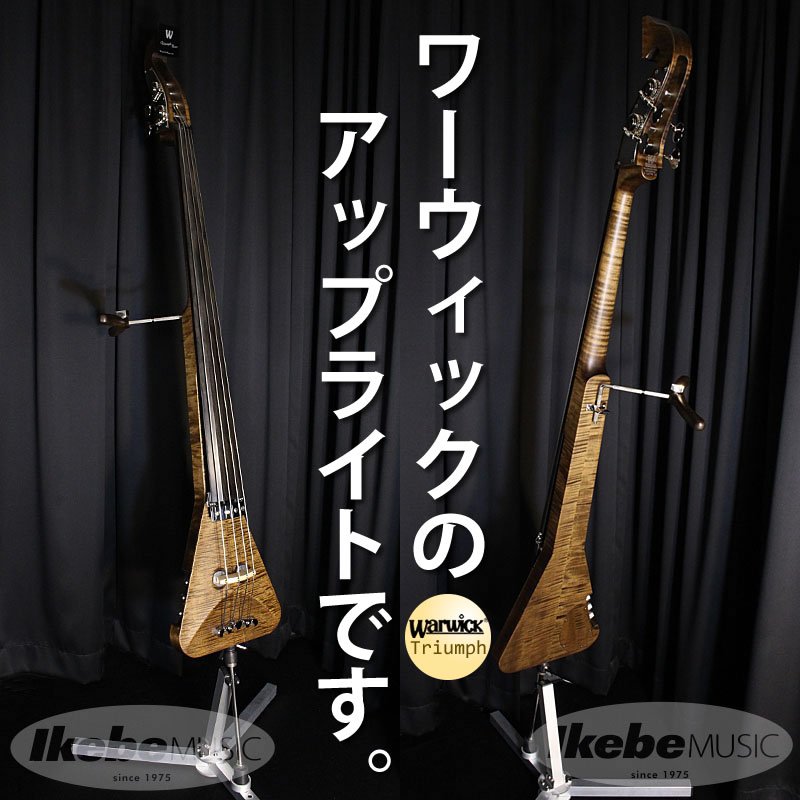 warwick triumph アップライトベース