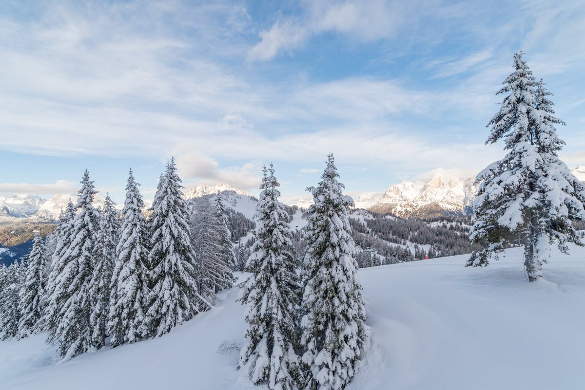 Bianco risveglio! ❄️❄️❄️
#Dolomiti #Alleghe #Skicivetta