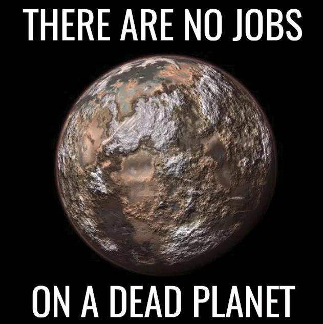 Eco-friendly Tips tweet media