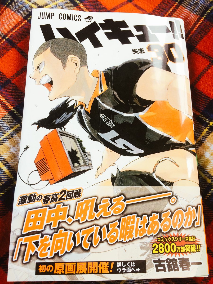 河童さま専用ハイキュー1巻～30巻 ハイキュー!! 30 (ジャンプコミックス) | 古舘 春一 |本 | 通販