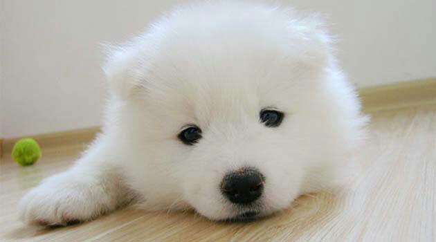 I am tired, take a break。。。。。。